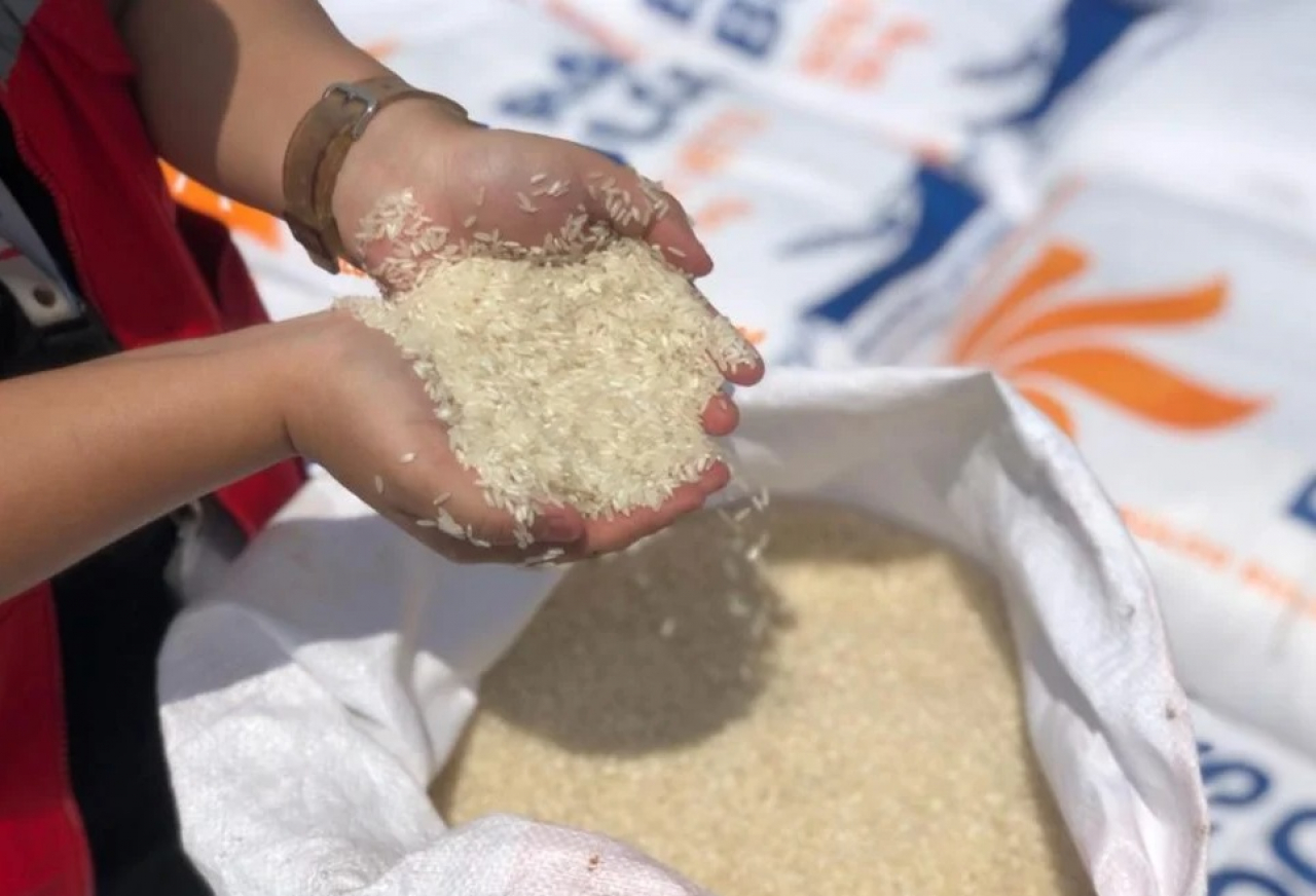 Beras impor dari Vietnam sebanyak 5.000 ton tiba di Pelabuhan Tanjung Priok, Jakarta Utara. Foto: Annasa Rizki Kamalina/ Bisnis