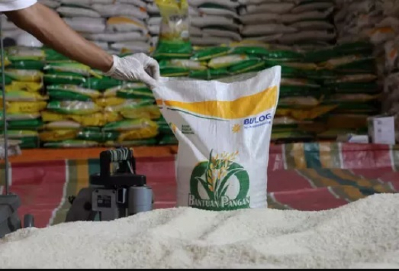 Bantuan beras tersebut akan disalurkan melalui Bulog, setiap KPM bakal menerima bantuan 10 kilogram. SP/JATI