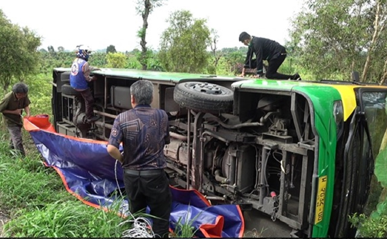 Bus Trans Jatim koridor III terguling masuk ke kebun cabai di Desa Gunungsari, Kecamatan Dawarblandong. SP/ MJK