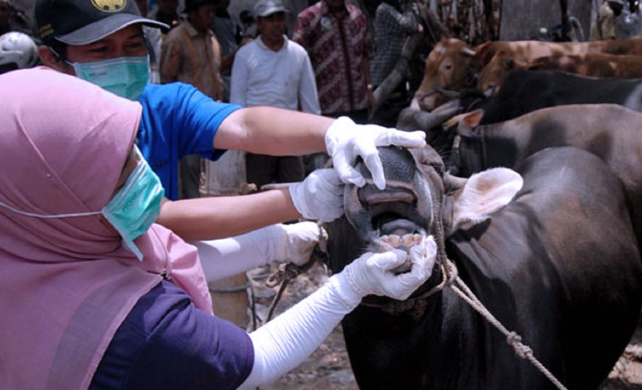 Salah satu pasar hewan yang ada di kabupaten Pasuruan. SP/ HIKMAH