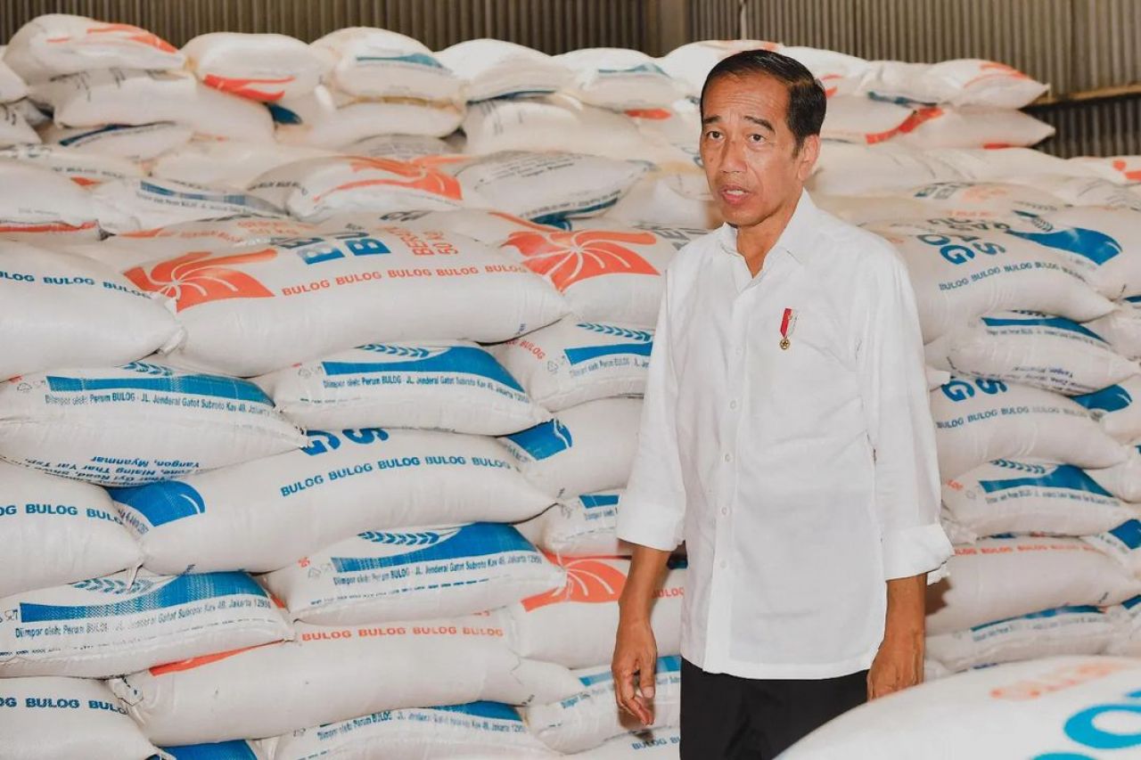Presiden Joko Widodo saat meninjau stok beras Bulog di Pergudangan Bulog Jambi, Rabu (3/4/2024).