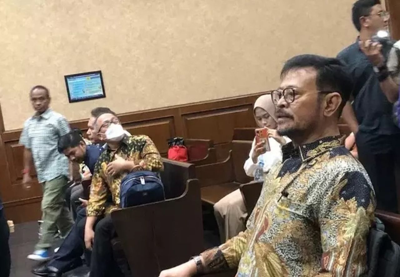 Ekspresi eks Mentan Syahrul Yasin Limpo dalam sidang pemeriksaan saksi di Pengadilan Tipikor Jakarta, Senin (29/4/2024).
