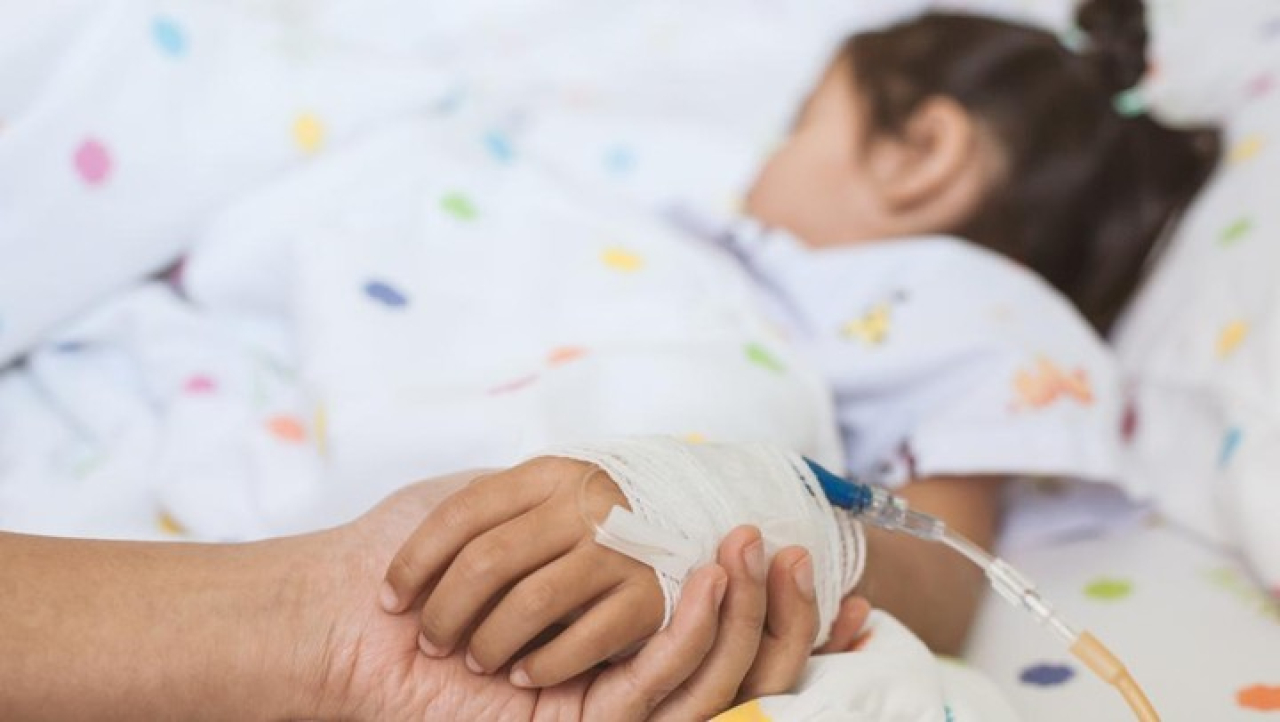 Anak yang terjangkit demam berdarah akan mengalami berbagai perubahan.