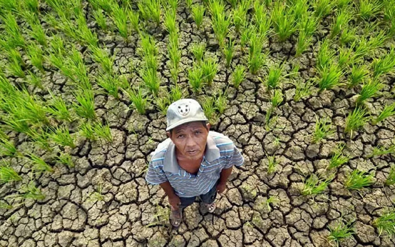 Ilustrasi. Wabah kekeringan di musim kemarau panjang. SP/ PSR