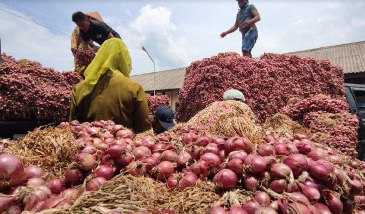 Ilustrasi. Pedagang bawang merah di salah satu pasar tradisional Kota Bojonegoro. SP/ BJN