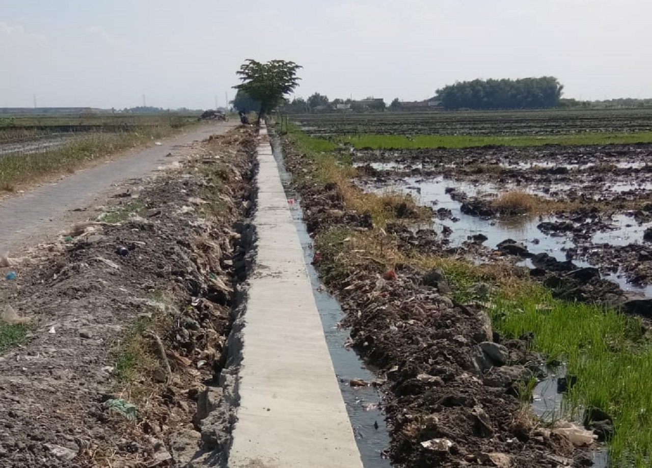 Realisasi pembangunan TPT di persawahan Desa Ploso. SP/JUM