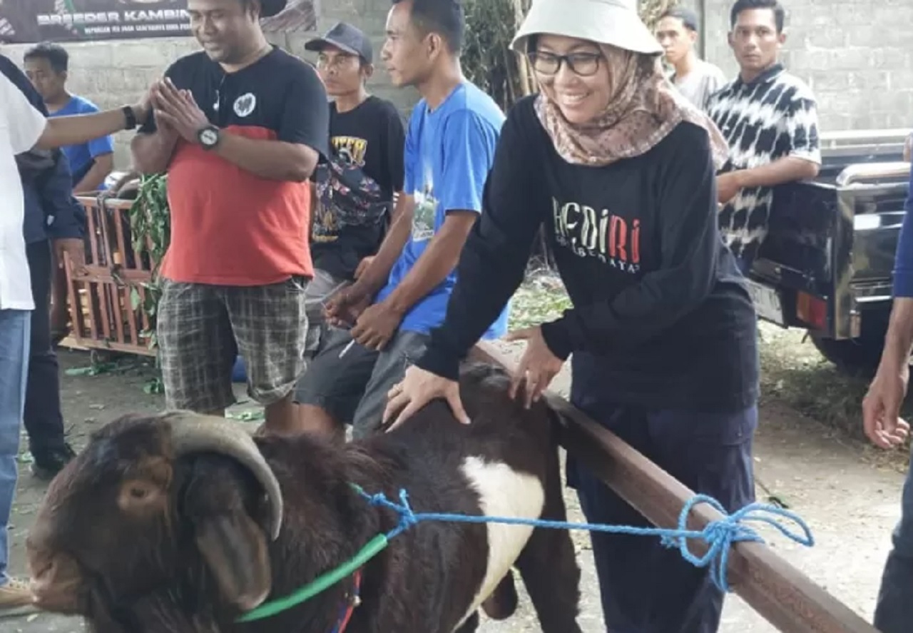 Ratusan peternak ikuti kontes domba dan kambing di Kediri. SP/ KDR