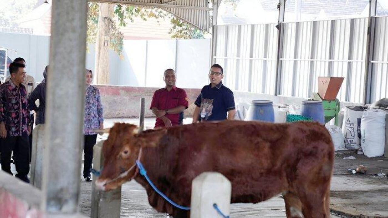 Pj Wali Kota Mojokerto Ali Kuncoro mengajak masyarakat manfaatkan inovasi Teman Puskeswan