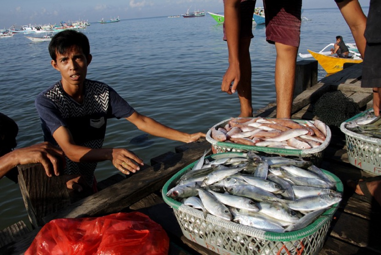 Ilustrasi. Nelayan ikan laut di Trenggalek, Jawa Timur. SP/ TRG