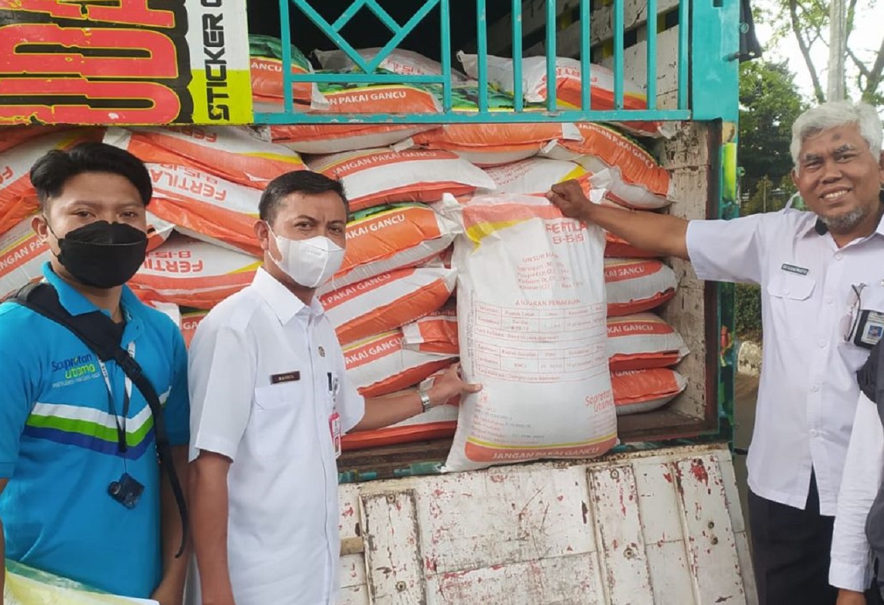 Caption: Penyaluran bantuan pupuk ZA kepada petani tembakau di Lumajang, Jawa Timur. SP/ LMJ