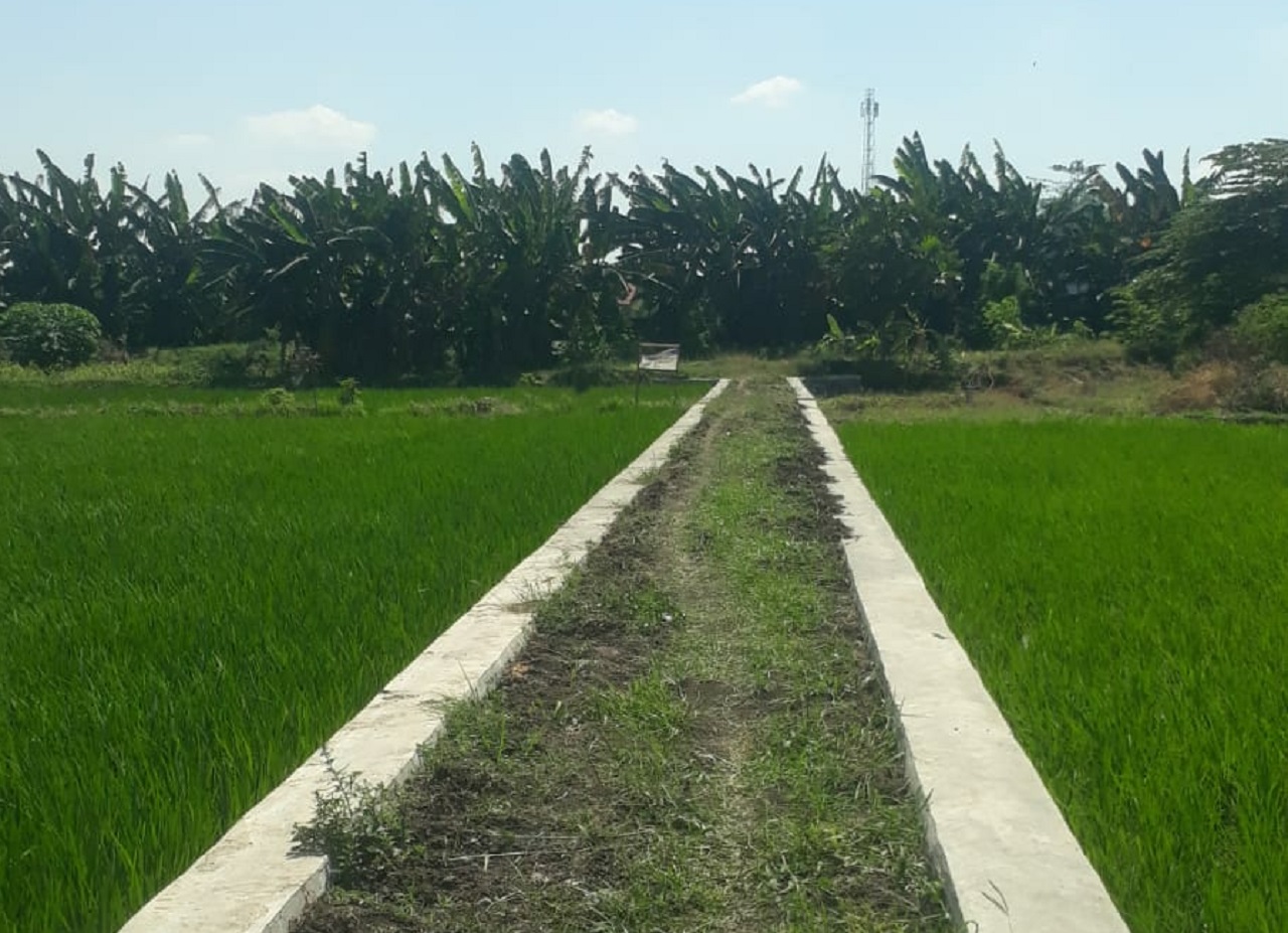 Bangunan tembok penahan tanah (TPT) di Dusun Genengan, Desa Popoh, Kecamatan Wonoayu. SP/JUM