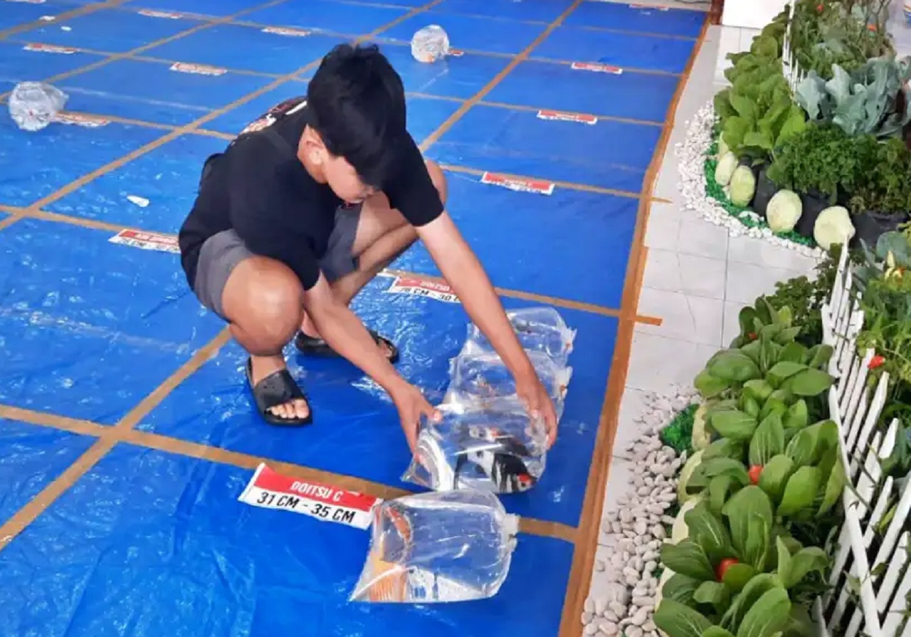 Kontes ikan koi dalam piala Wali Kota Blitar tampak meriah. SP/ BLT