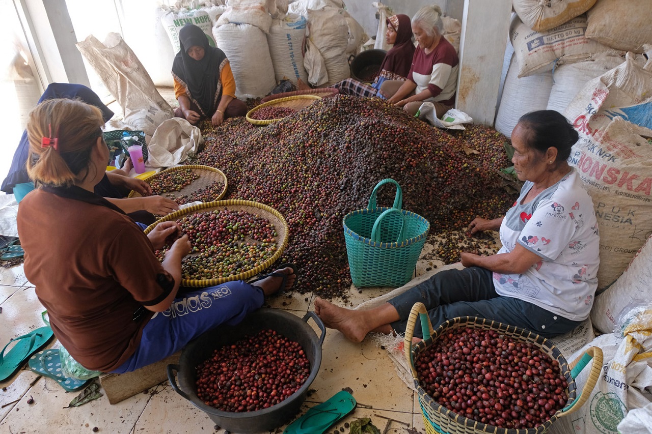 Ilustrasi. Penjual kopi robusta di Magetan, Jawa Timur. SP/ MGT