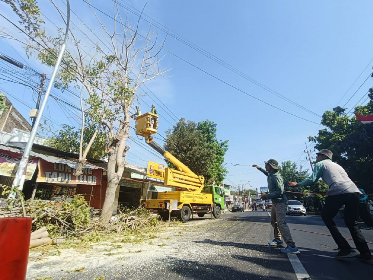Disperkim melakukan perapian untuk mengantisipasi pohon tumbang di wilayah Kota Madiun. SP/ MDN