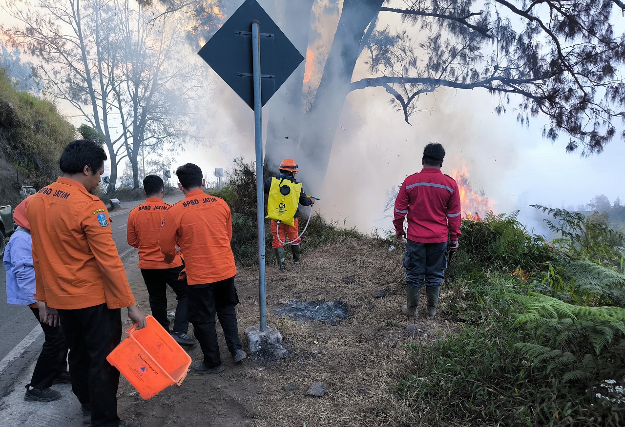 Aksi Tim BPBD Jatim terlibat aksi pemadaman kebakaran hutan yang terjadi di penanjakan Gunung Bromo. SP/ RIKO