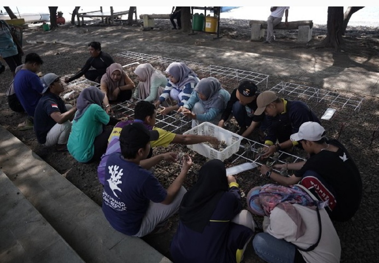 Ratusan fragmen karang ditransplantasikan di Pantai Grand Watu Dodol, Banyuwangi. SP/ HIKMAH
