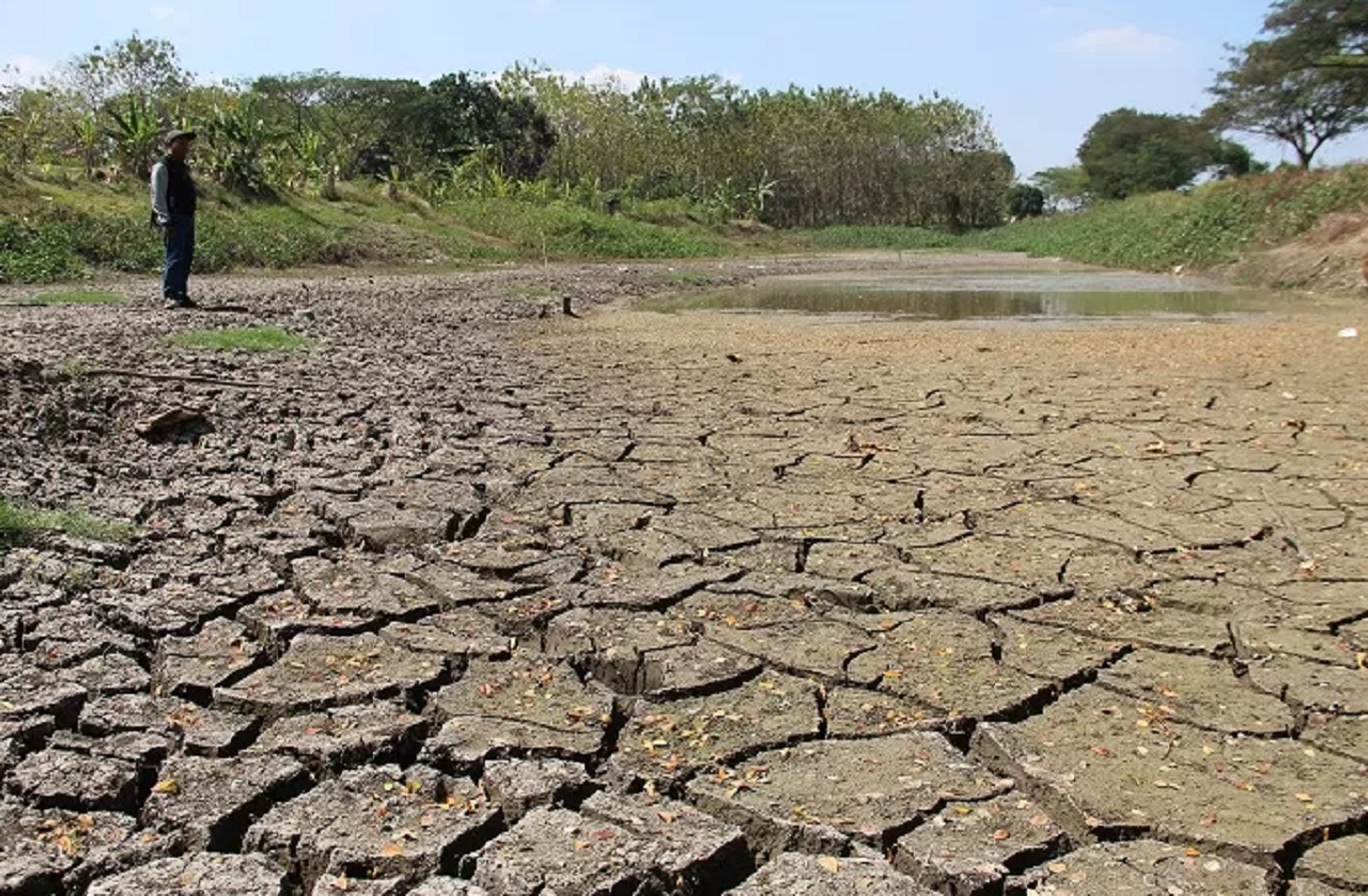Ilustrasi. Salah satu embung yang mengalami kekeringan di musim kemarau. SP/ JBG