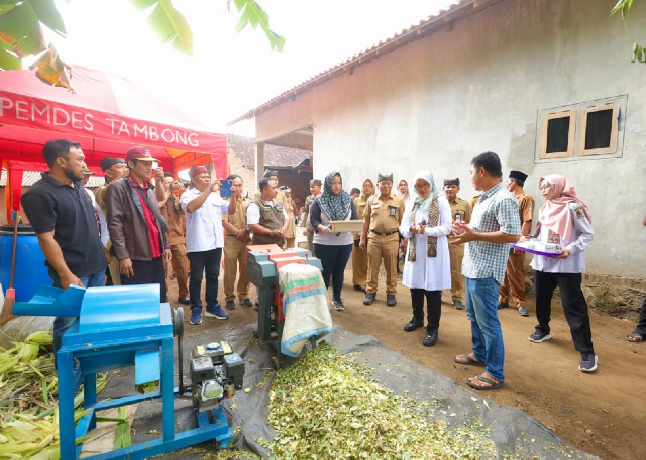 upati Banyuwangi, Ipuk Fiestiandani, mengunjungi pelatihan pembuatan silase di sebuah peternakan domba. SP/ BYW