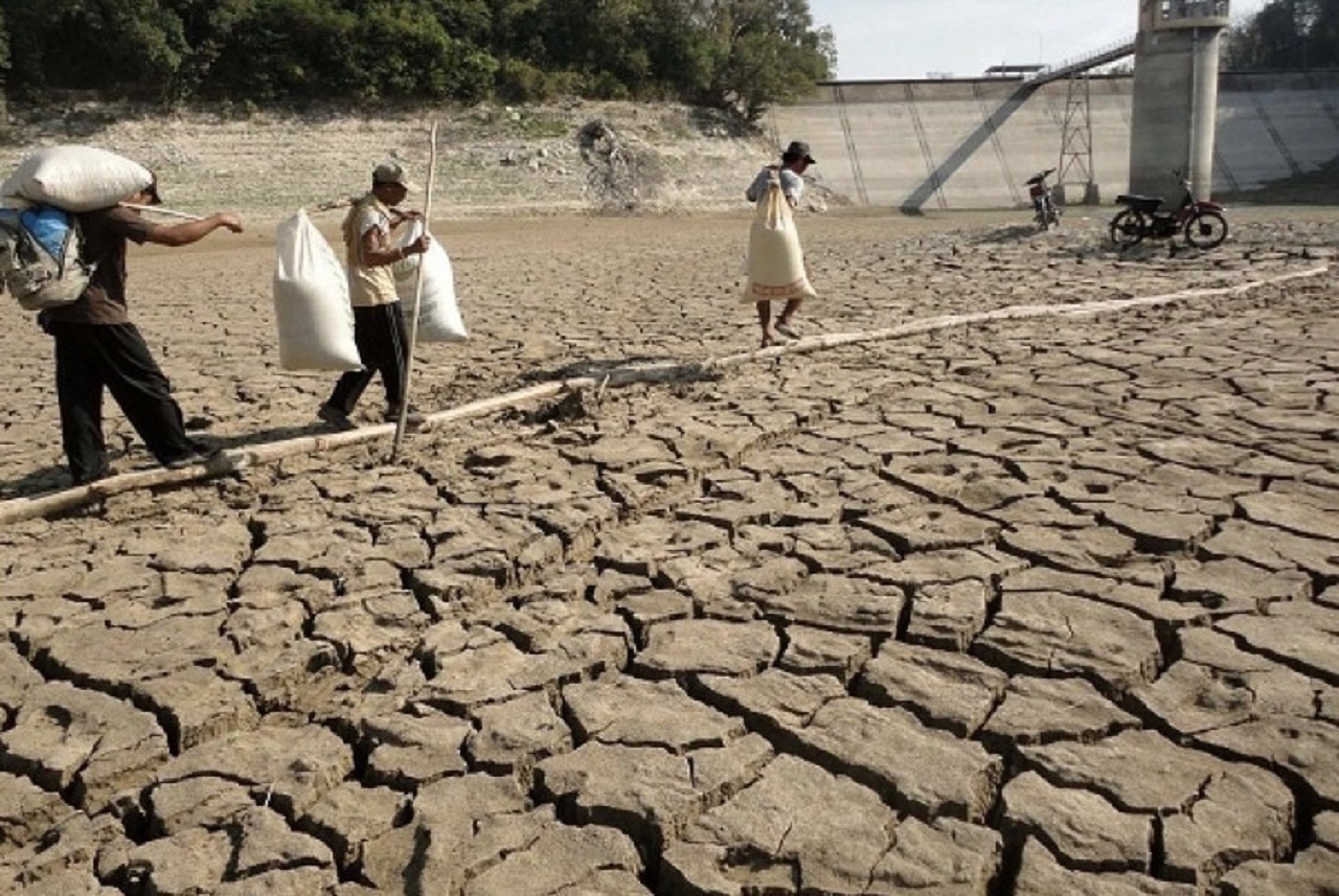 Ilustrasi. Kekeringan ekstrem musim kemarau panjang di Kabupaten Bojonegoro, Jawa Timur. SP/ BJN