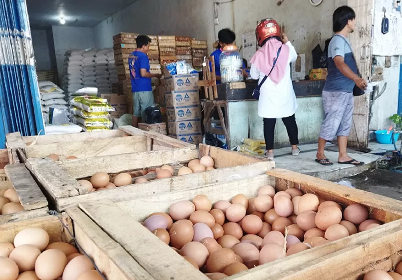 Ilustrasi. Penjual telur ayam di pasar tradisional Banyuwangi, Jawa Timur. SP/ BYW