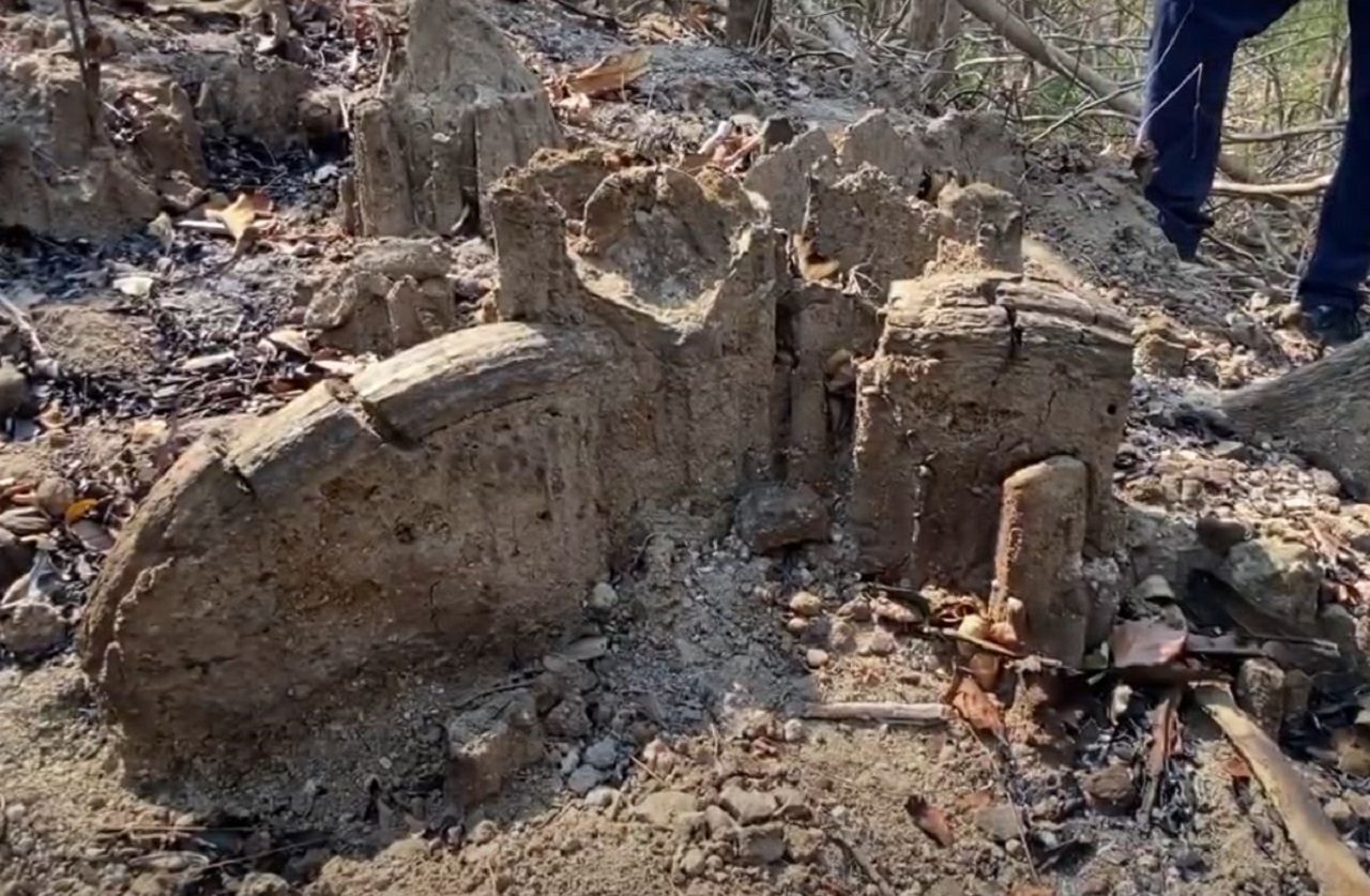 Penampakan fosil banteng purba di Nganjuk. SP/ NGJ