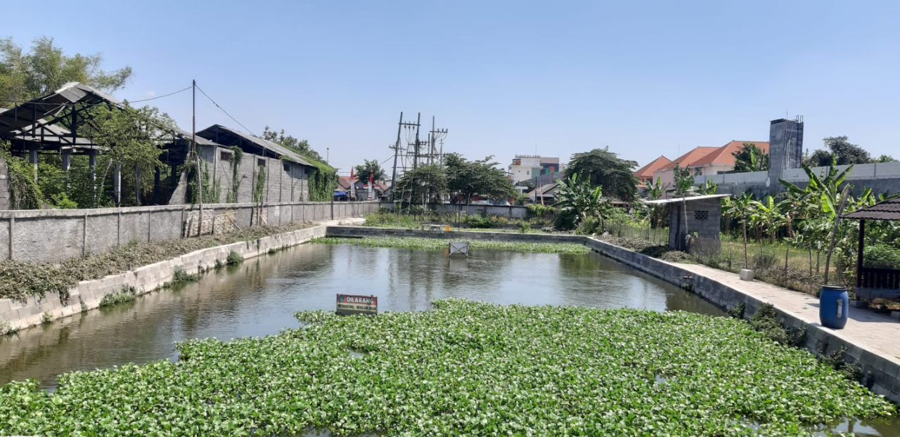 Kolam pemancingan Desa Jabaran, Kecamatan Balongbendo. SP/JUM