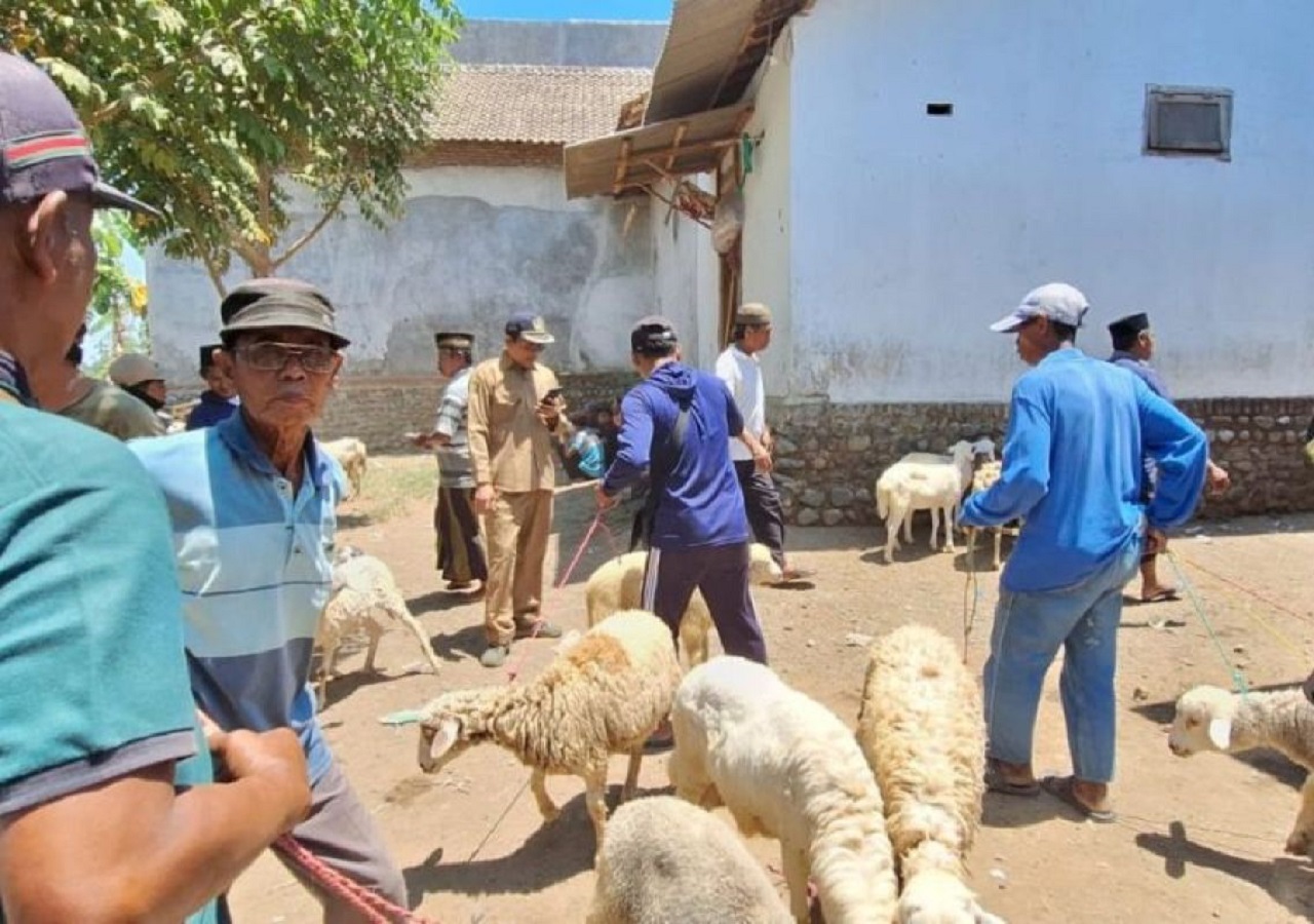 Ilustrasi. Penjualan hewan ternak di Pasar Tradisional Besuk, Probolinggo, Jawa Timur. SP/ PRB