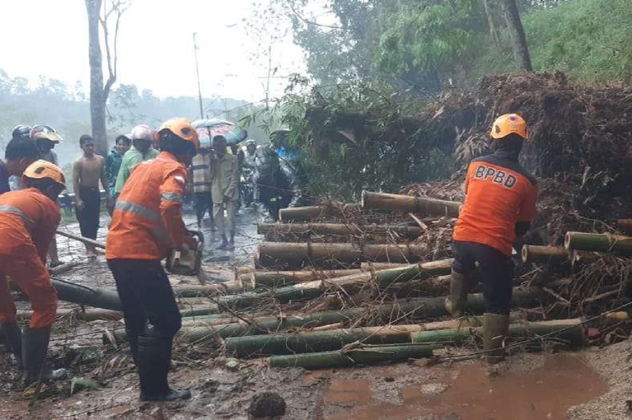 Petugas Gabungan saat sedang mengevakuasi pohon bambu yang tumbang dan melintang di tengah jalan, Bondowoso, Jawa Timur akibat hujan angin kencang. SP/ BDW