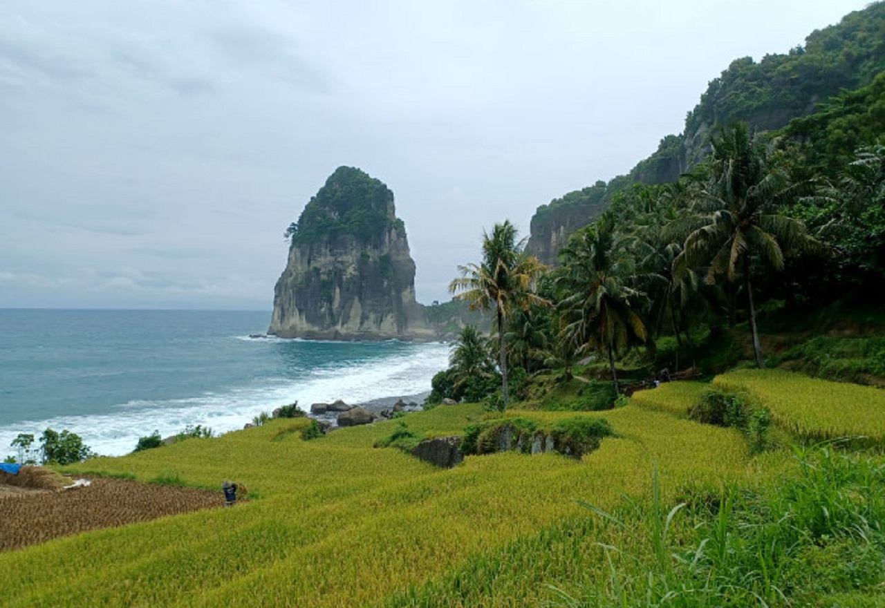 Pantai Pangasan terletak di Desa Kalipelus, Kecamatan Kebonagung, Kabupaten Pacitan, Jawa Timur. SP/ PCT