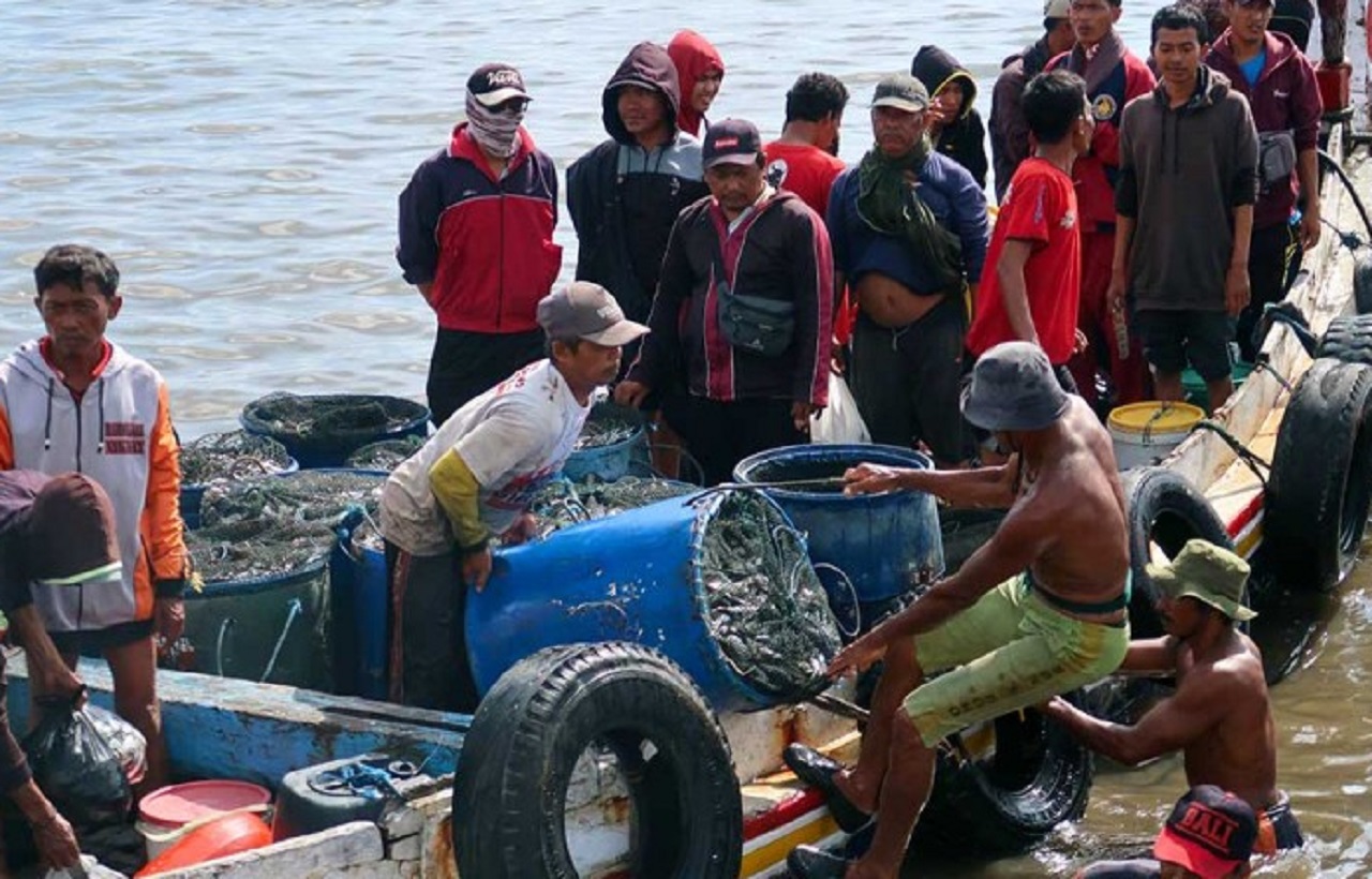 Nelayan mengambil ikan jenis lemuru hasil tangkapannya dari jaring di Pantai Rajegwesi, Desa Sarongan, Kecamatan Pesanggaran, Banyuwangi. SP/ BYW