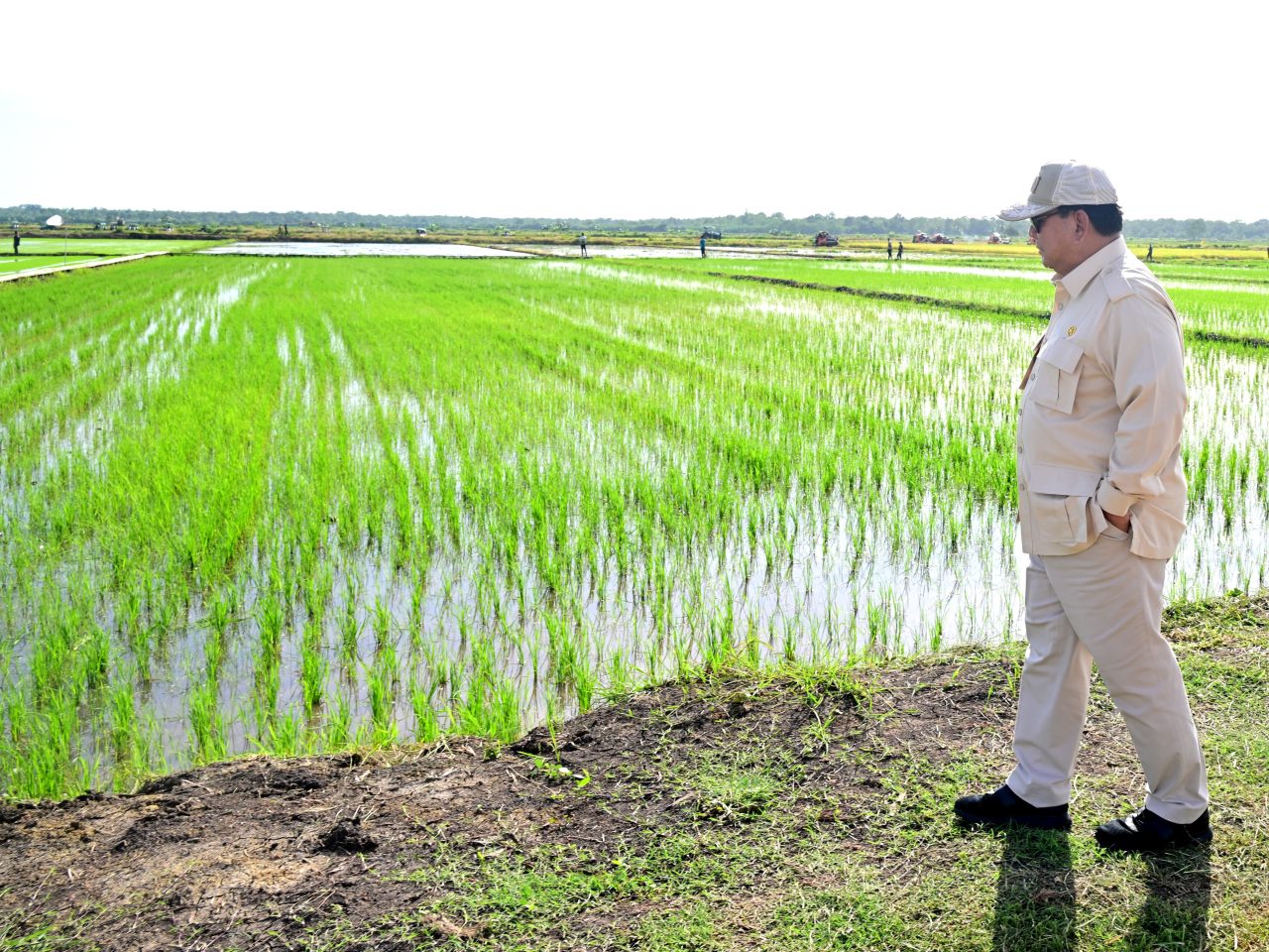Kementerian Pertanian mempersiapkan program cetak sawah baru yang menargetkan pengembangan 3 juta hektare lahan sawah hingga tahun 2029. Hal tersebut dilakukan oleh pemerintah Prabowo Subianto sebagai upaya untuk memperkuat ketahanan pangan nasional. (Fto