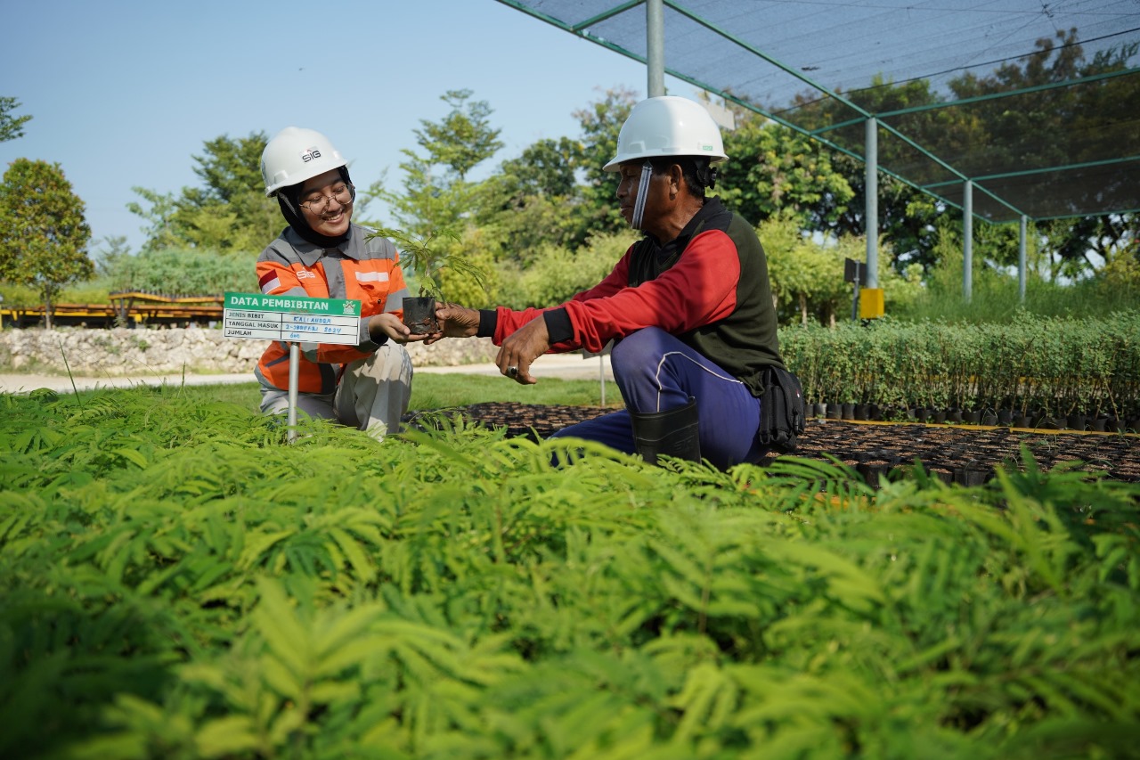 Area pembibitan tanaman Kaliandra di kawasan Griyo Winih Ecopark Kambang Semi lahan pascatambang tanah liat Pabrik Tuban, Jawa Timur. SP/SIG