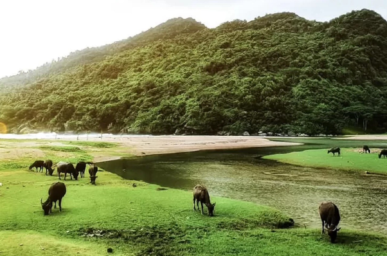 Pantai Kebo yang berlokasi di Kabupaten Trenggalek, Jawa Timur. SP/ TRG