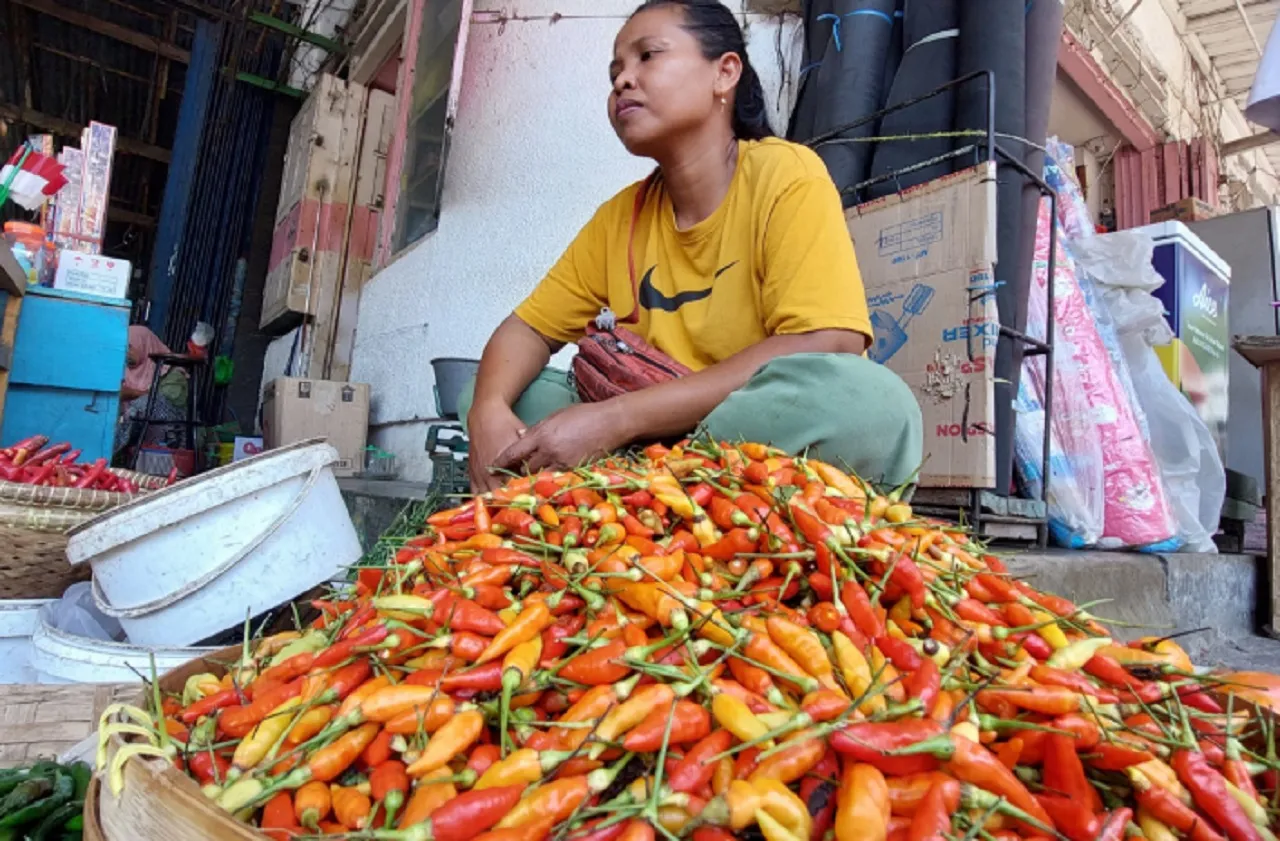 Baca juga : Sempat Ugal-ugalan Rp 120 Ribu/Kg, Harga Cabai Rawit di Pasar Banyuwangi Kini Anjlok
