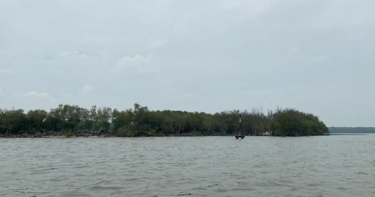 Baca juga : Terbitnya HGB PT Surya Inti Permata di Laut Segoro Tambak Sidoarjo, Diduga Akrobatik Hukum