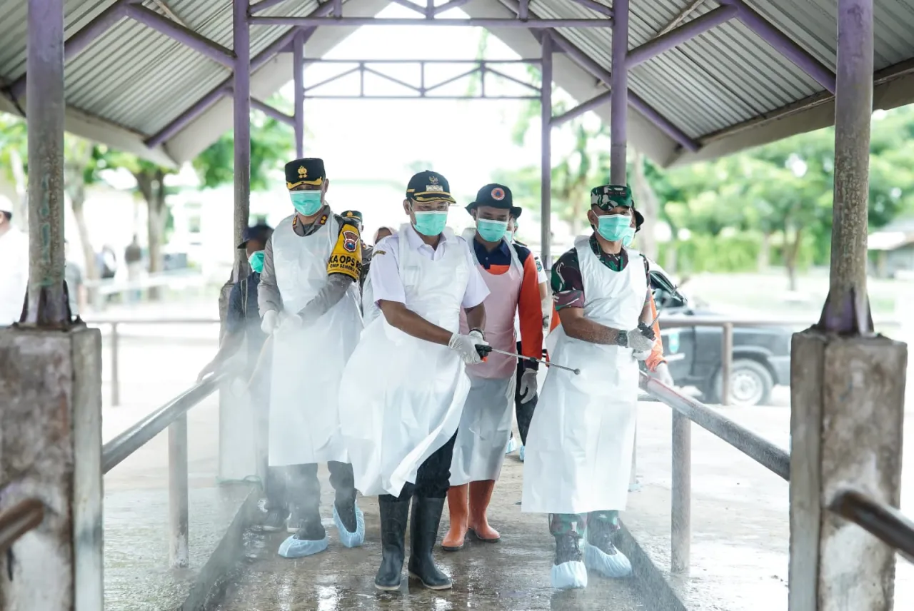 Antisipasi Penyebaran Kasus PMK, Kandang Sapi di Tikung Dapat Vaksinasi
