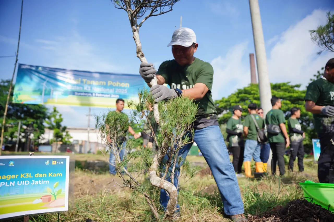 PLN Gelar Aksi Tanam Pohon dan Sosialisasi Keselamatan Kerja hingga Donor Darah