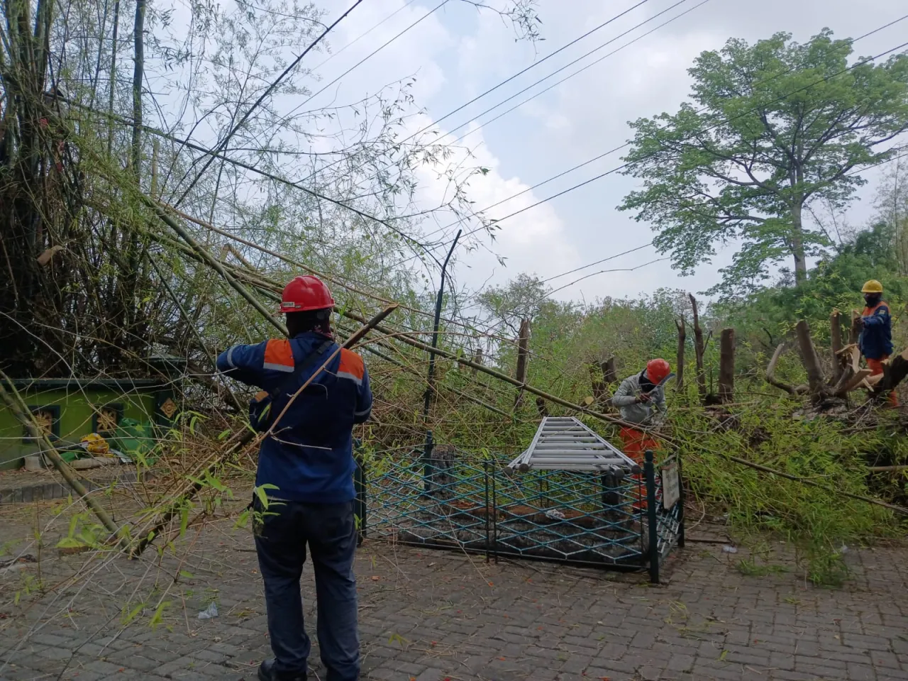 Lakukan GREBEG ROW, PLN UIT JBM Jaga Keamanan Jaringn di Tengah Cuaca Ekstrem