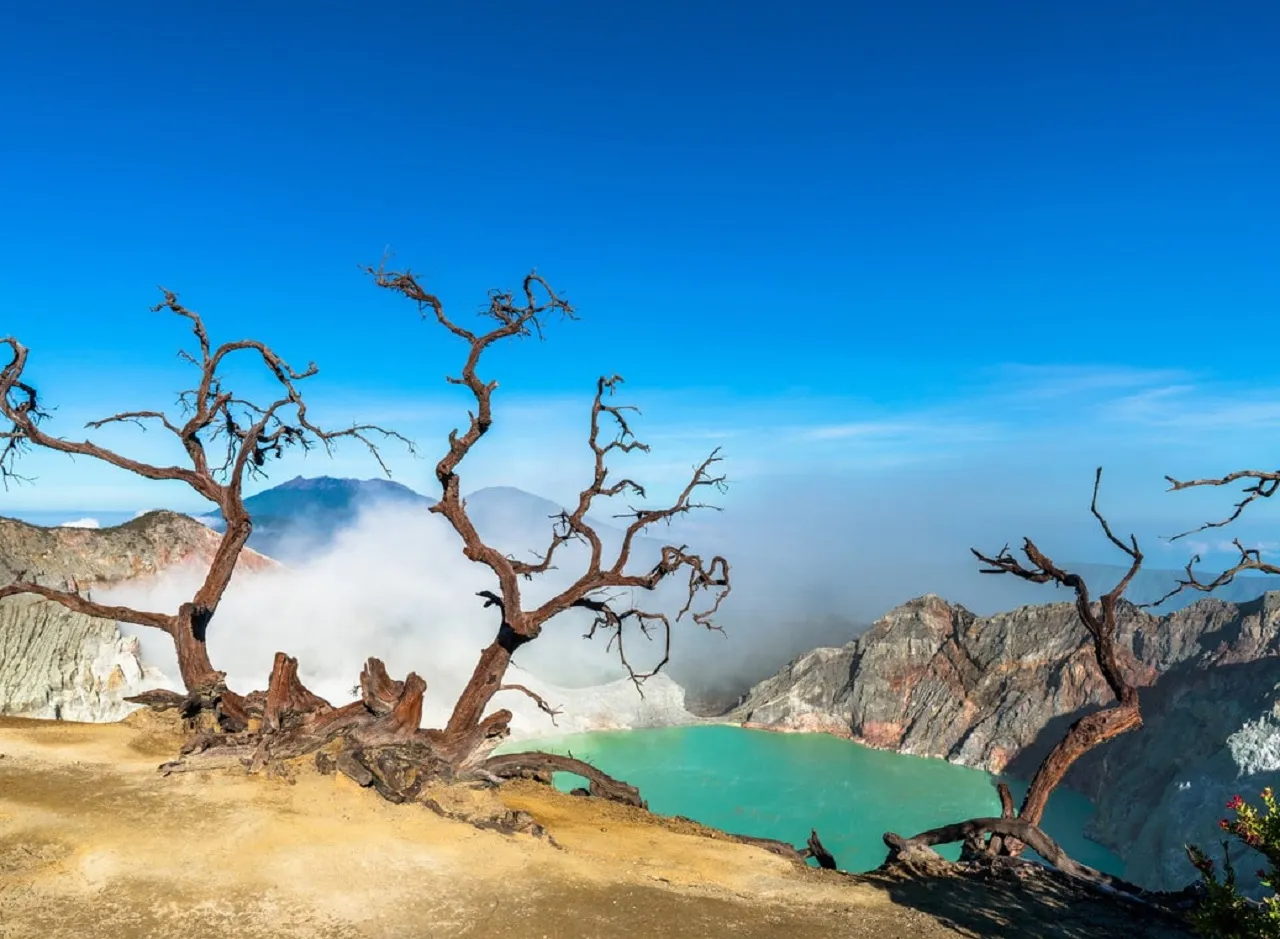 Selama 2025, Pemkab Banyuwangi Targetkan 3,7 Juta Kunjungan Wisatawan