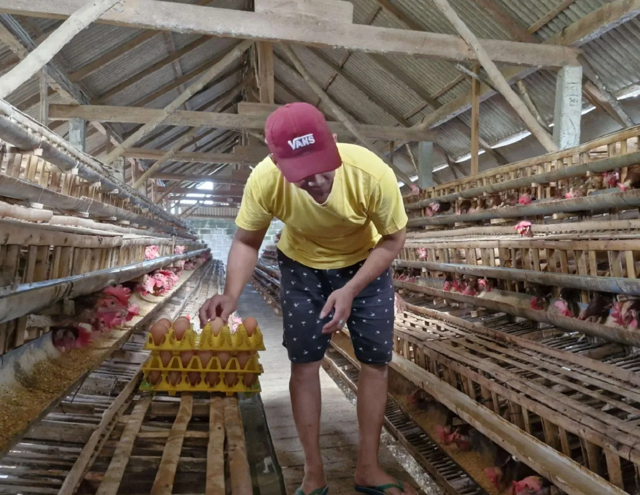 Jelang Ramadhan, Harga Telur di Ponorogo Naik Tembus Rp 29 ribu per Kg