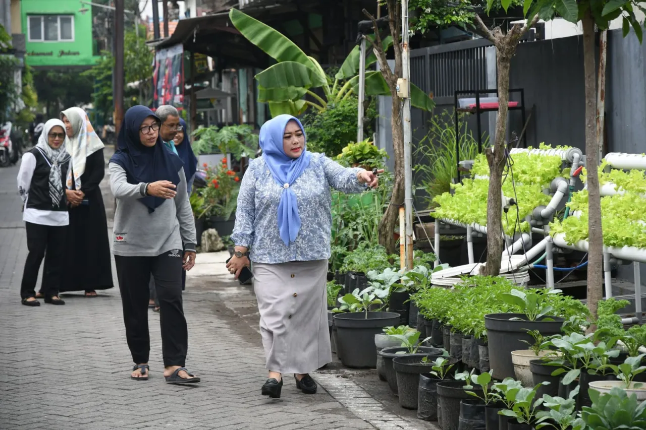 Wakil Ketua DPRD Surabaya Laila Mufidah Dorong Keberlangsungan Urban Farming di Kampung Surabaya
