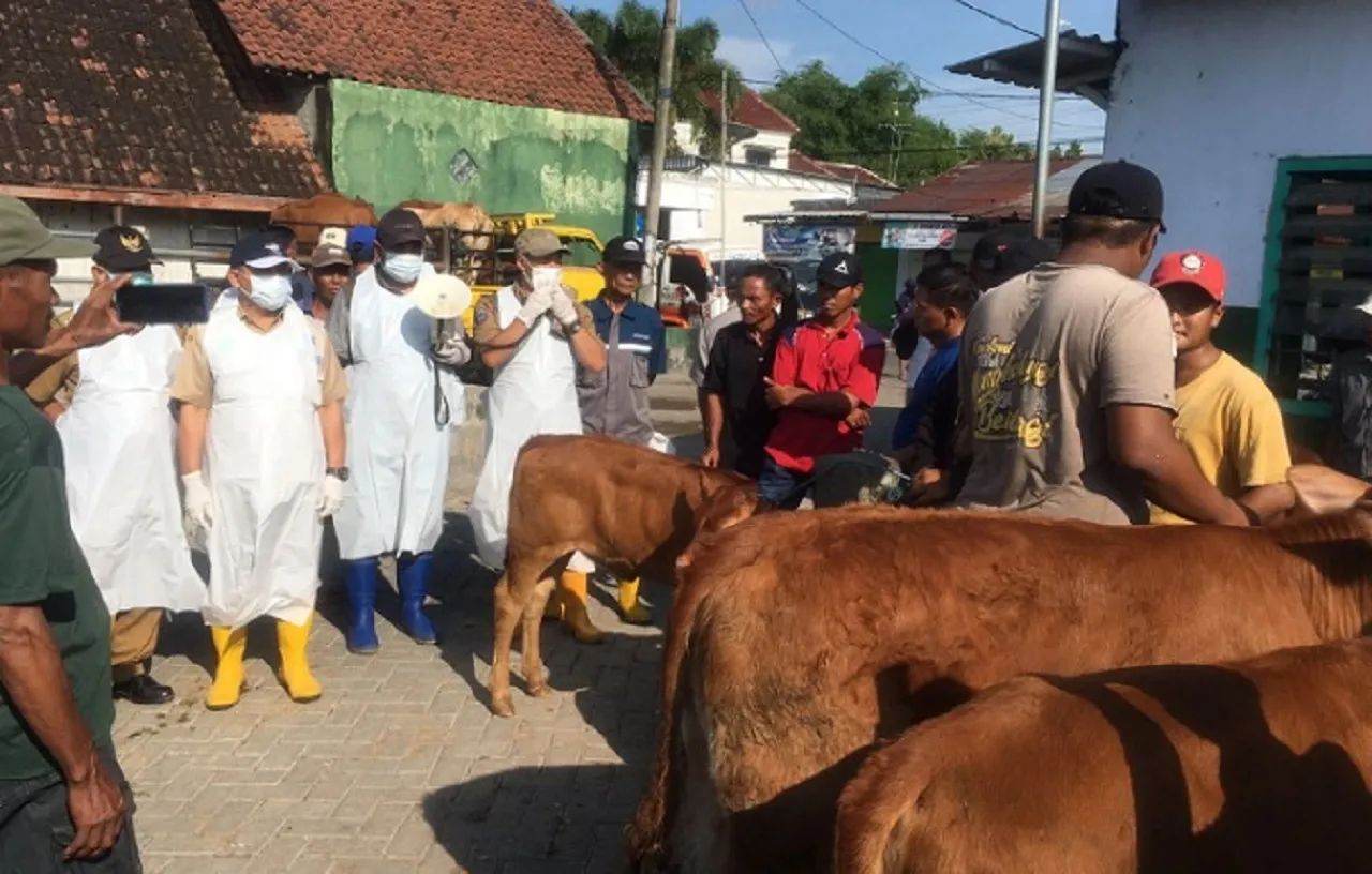 Tekan PMK, Pemkab Jombang Perpanjang Penutupan Pasar Hewan 10 Hari
