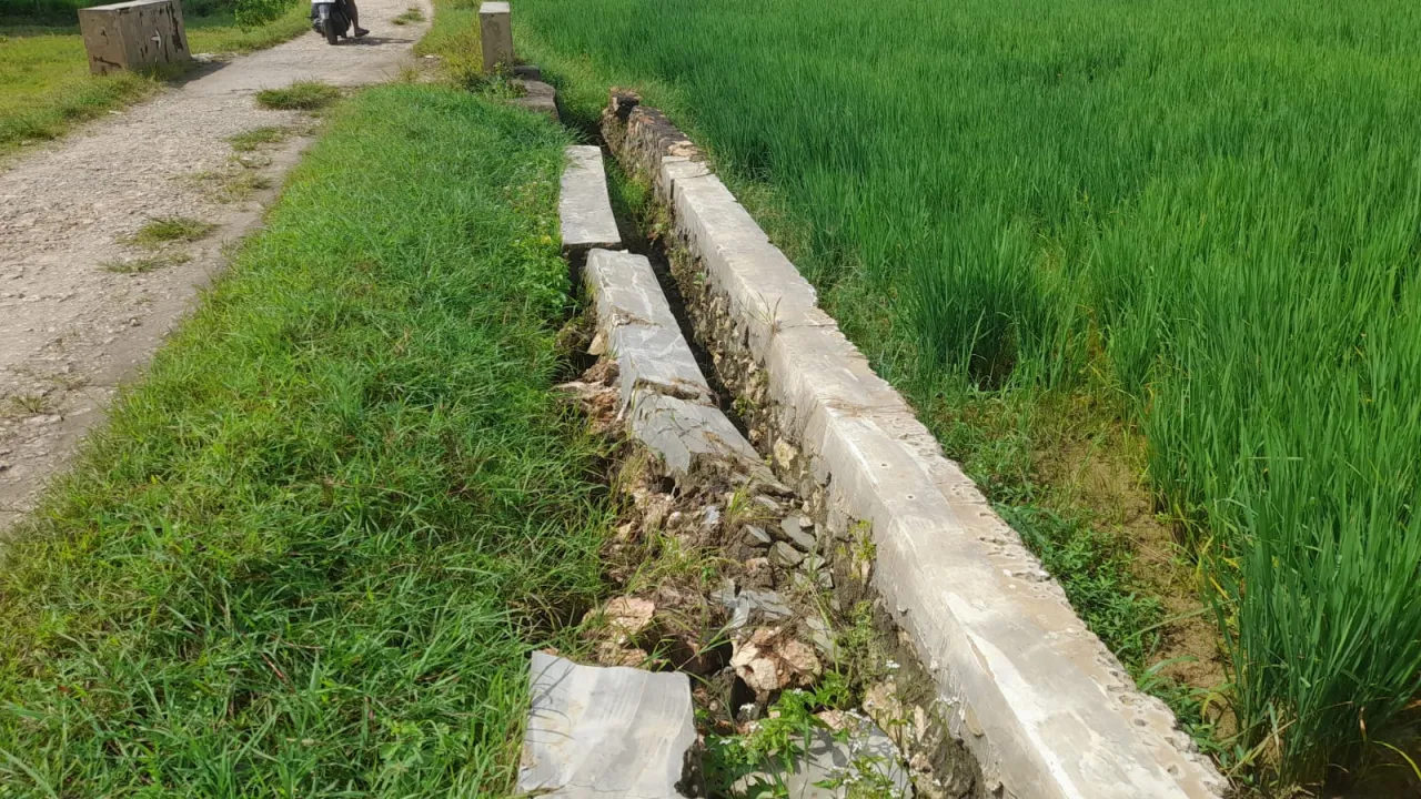 Masih Seumur Jagung, Proyek P3-TGAI di Desa Kecer Hancur