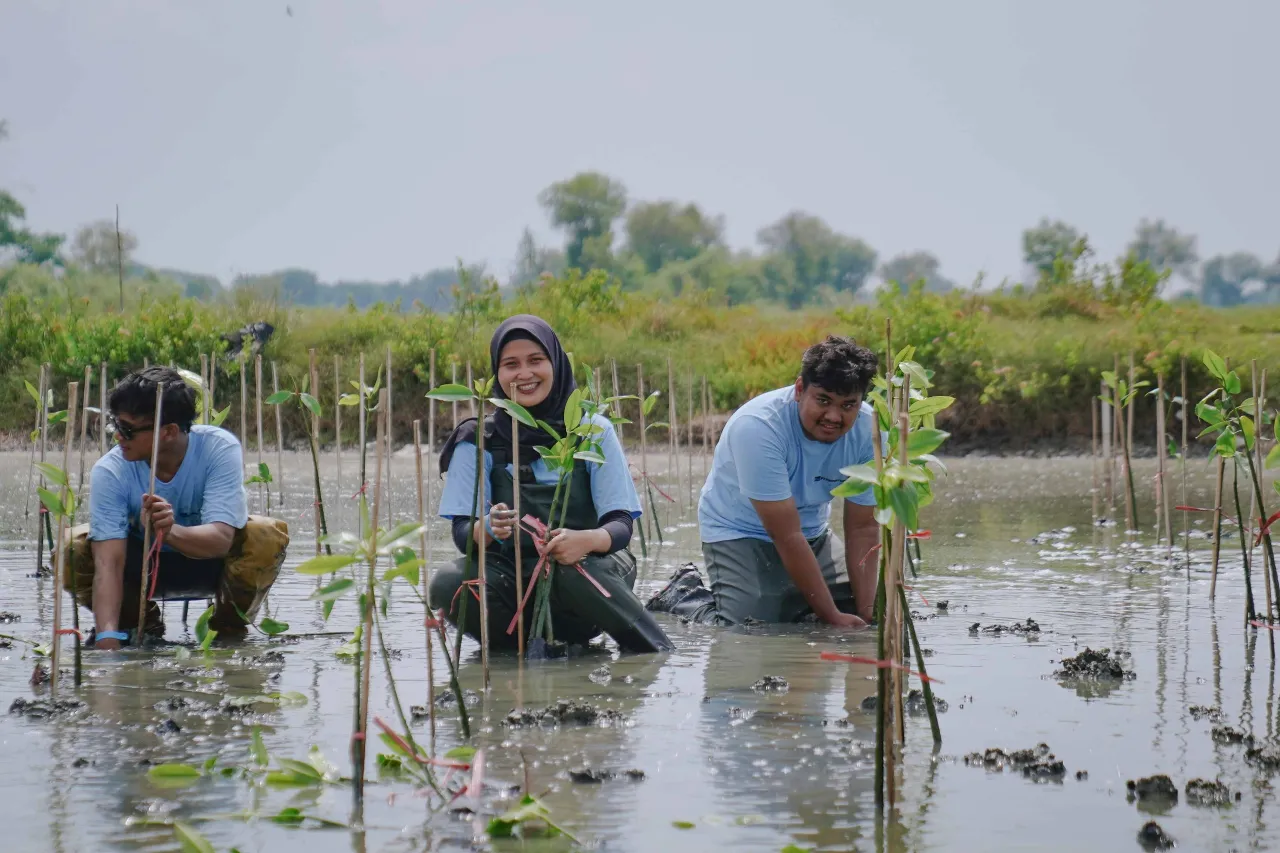 Freeport Indonesia Tanam 50 Ribu Mangrove di Gresik, Dukung Pelestarian Ekosistem Pesisir