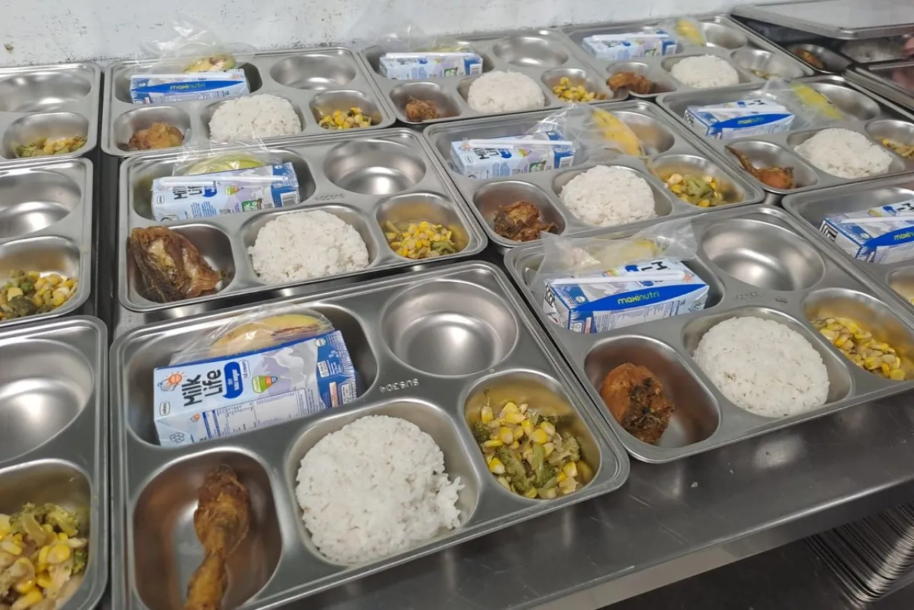 Program Makan Bergizi Gratis, Monopoli Badan Gizi Nasional