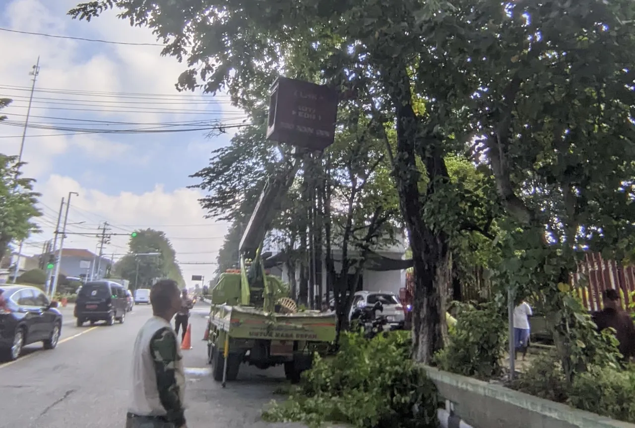 Jelang Arus Mudik Lebaran, Puluhan Pohon di Kota Kediri Dipangkas