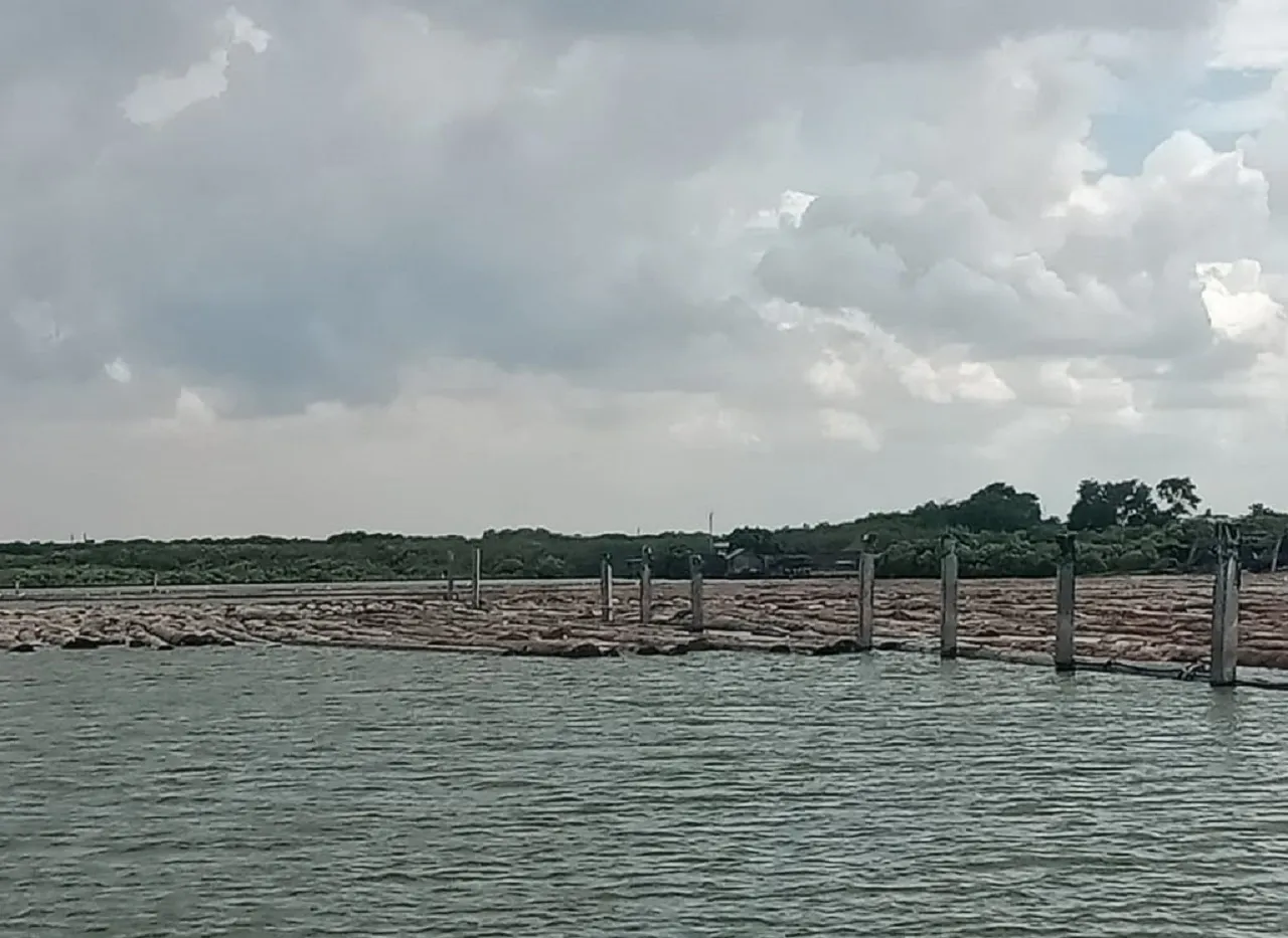 Baca juga : Pagar Laut Melingkar di Perairan Gresik Diduga Ilegal, Isinya Ribuan Kayu Gelondongan