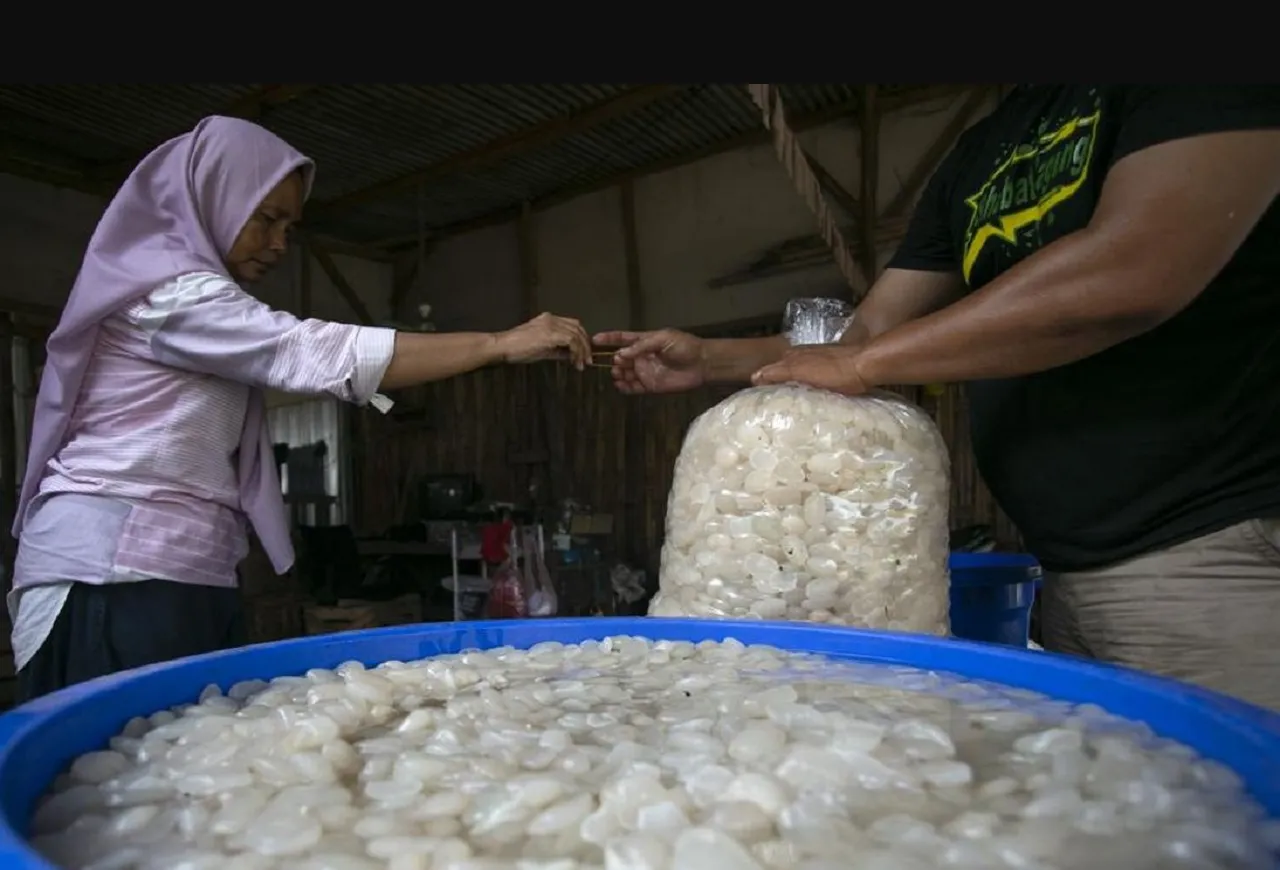 Berkah Bulan Ramadhan, Penjual Kolang-kaling di Magetan Banjir Cuan