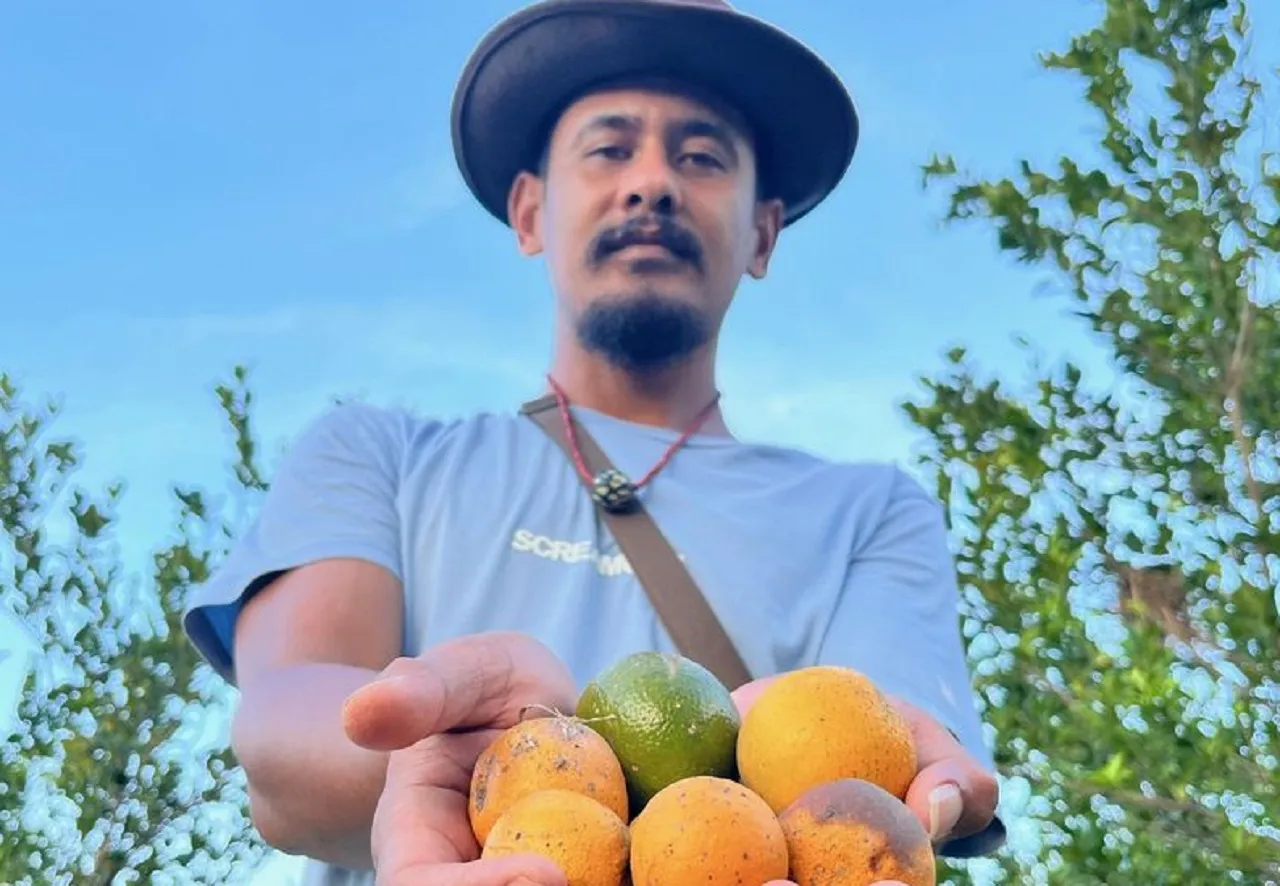 Petani Jeruk di Banyuwangi Gagal Panen, Hampir 90 Persen Terserang Jamur