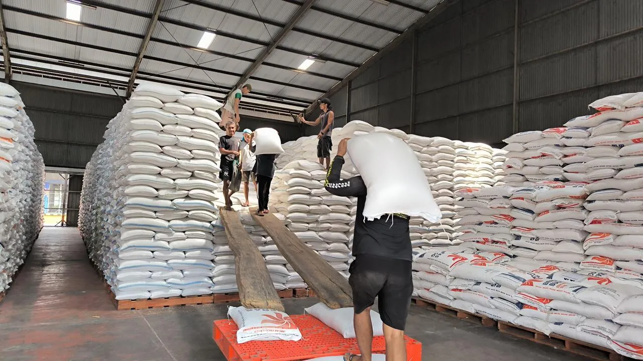 Dorong Serapan Gabah/Beras, Bulog Jatim Sewa Gudang Berkapasitas 150 ribu Ton